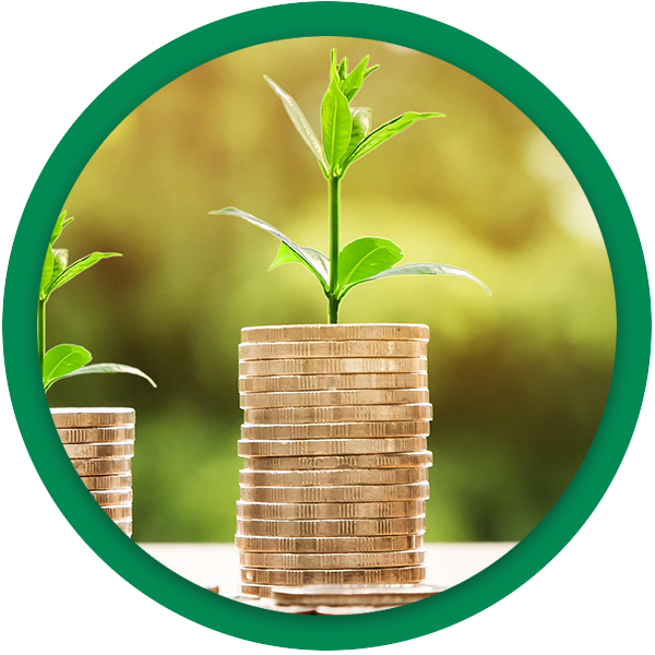 Stack of coins with a sprout